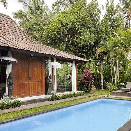 Esterin Villa Ubud Kültér fotó