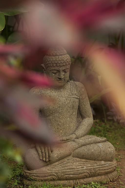 Esterin Villa Ubud Szoba fotó