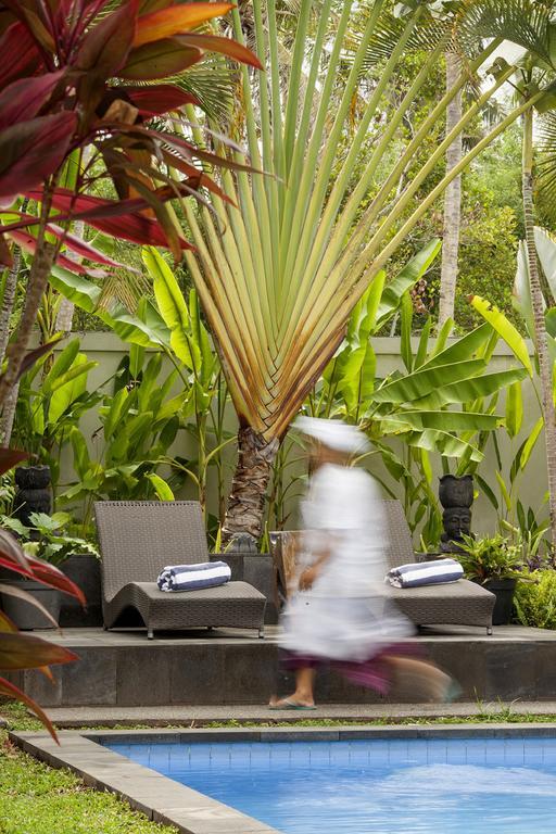 Esterin Villa Ubud Szoba fotó